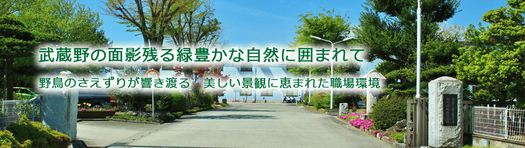 SHIMANO SEIKI
